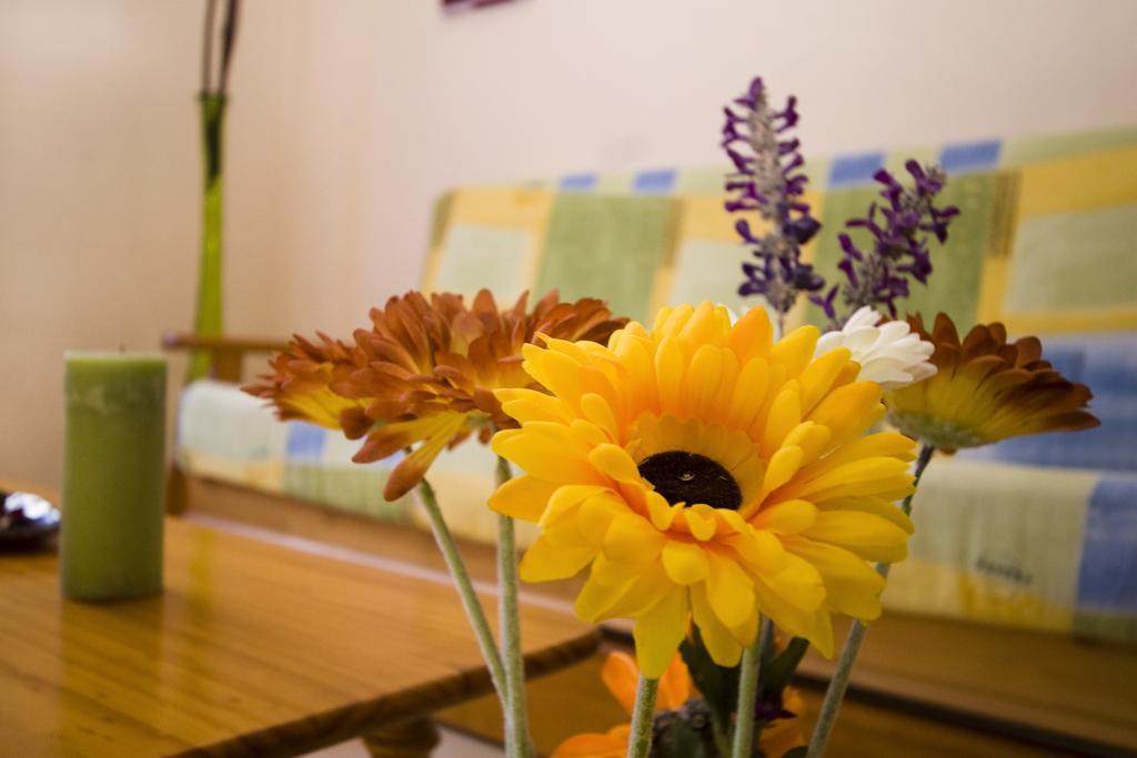 Apartamentos Dana Madrid Habitación foto